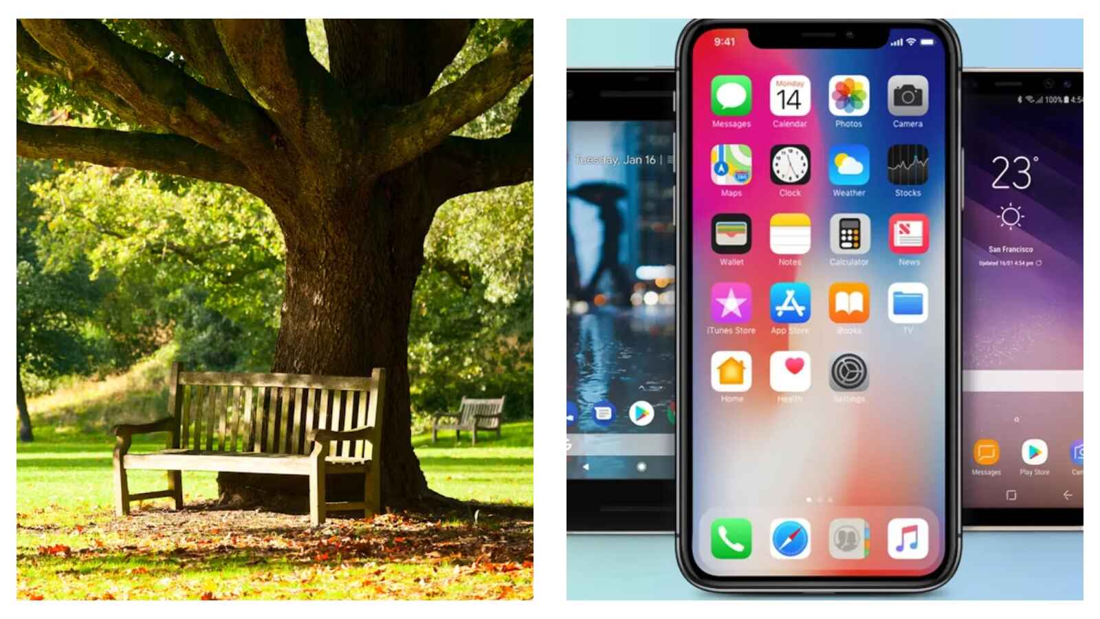 Park life and mobile phones