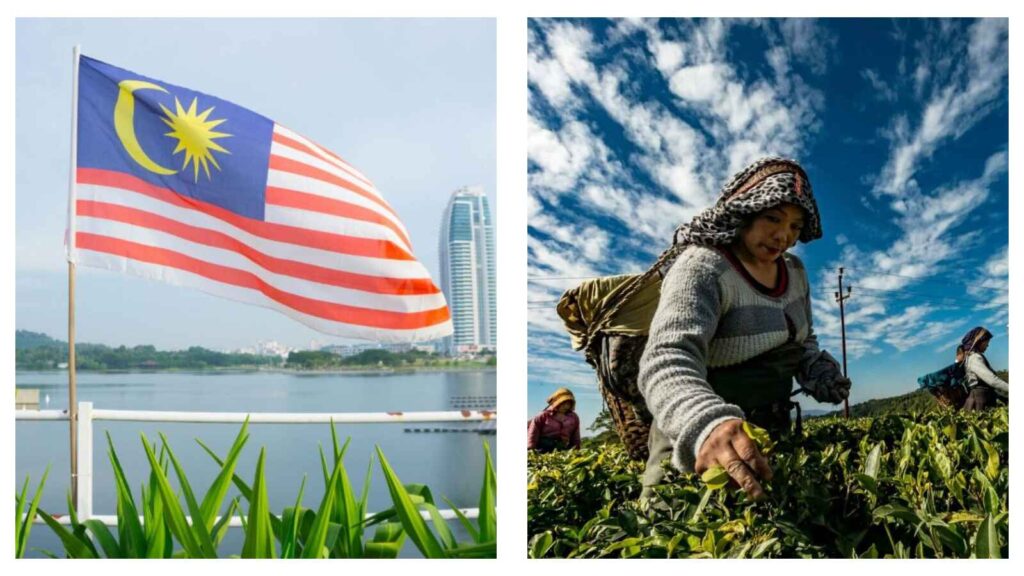 Malaysian flag & Malaysian farmers