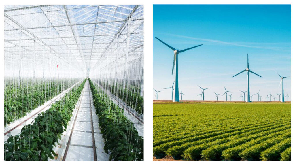 Geothermal glasshouse and windfarm agriculture graphic