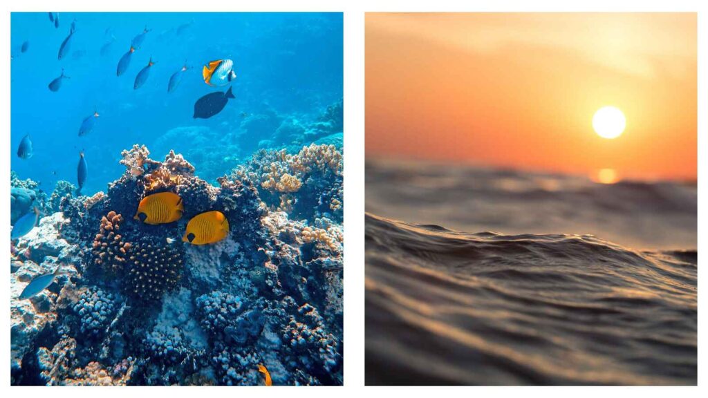 coral reef and sun over ocean