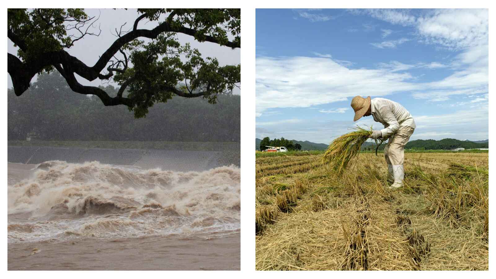 Climate change in Japan