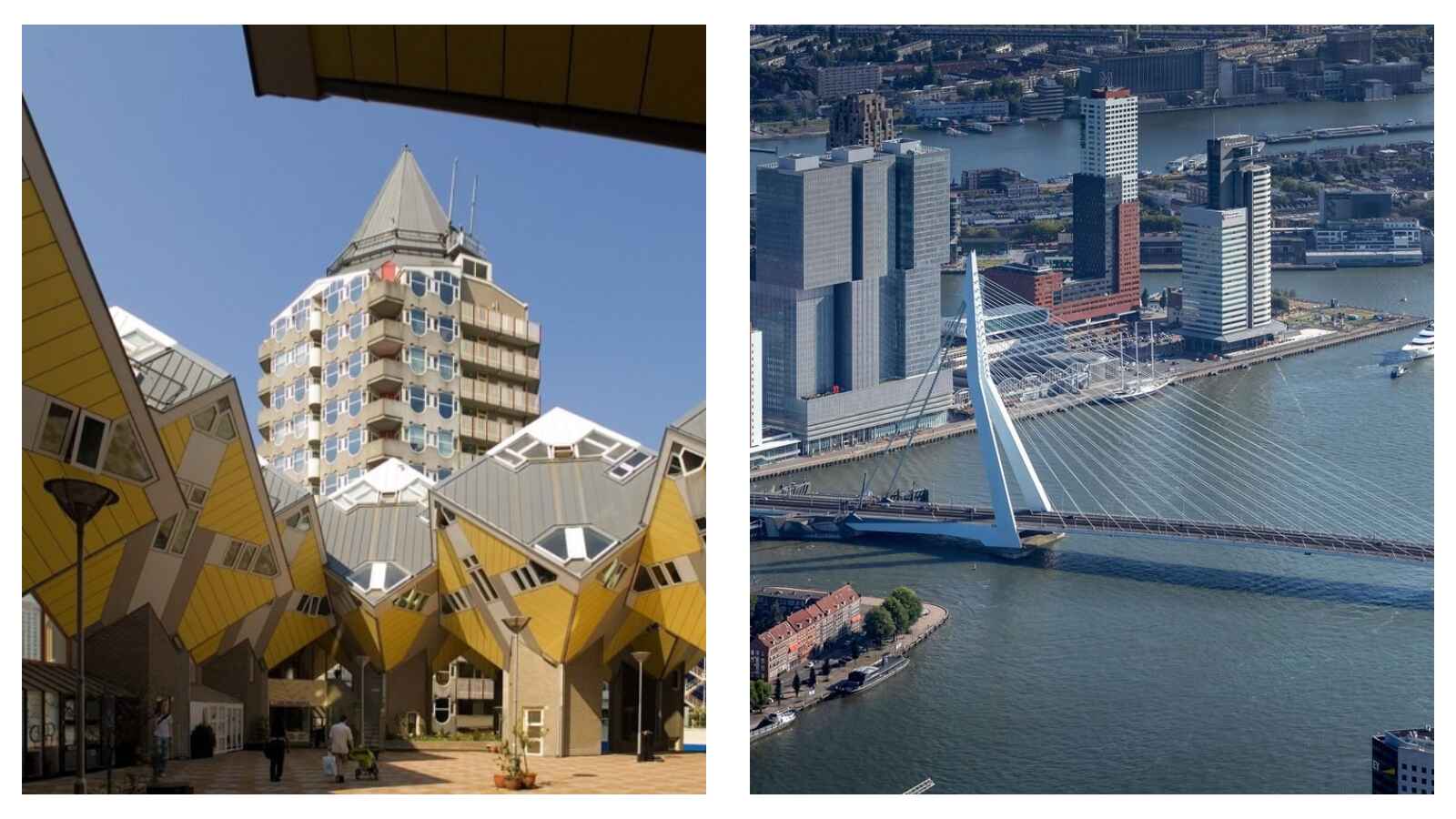 Cube houses and Erasmusbrug in Rotterdam