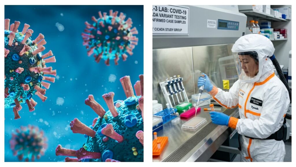 Cicada variant of Covid-19 & Scientific researcher