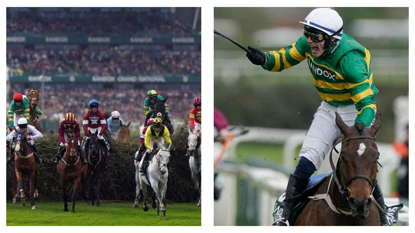 Grand National and I Am Maximus