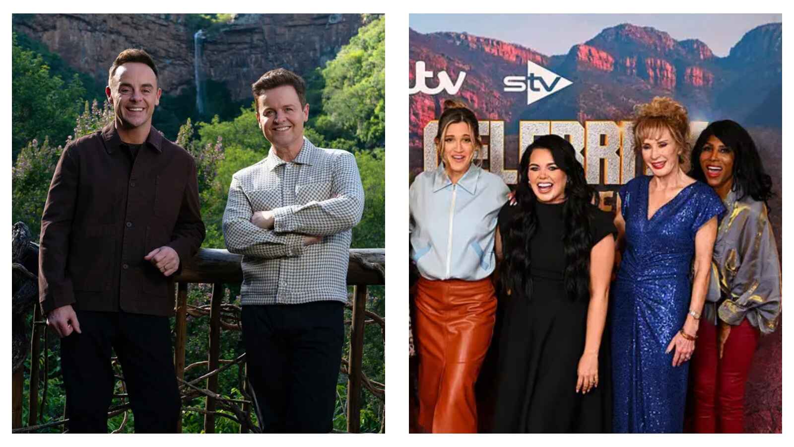 I'm a Celebrity hosts and cast