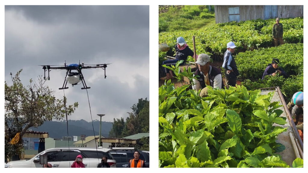 drones and coffee farming