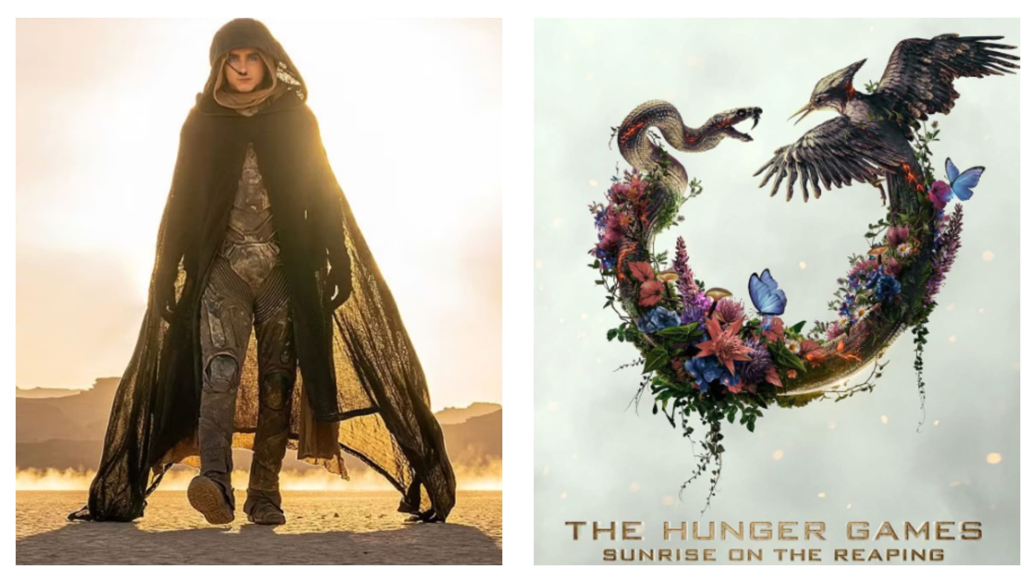 Dune Part Three and Hunger Games Prequel