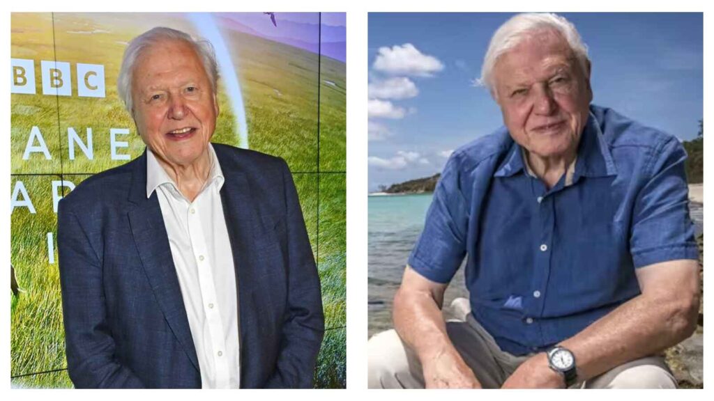 David Attenborough
