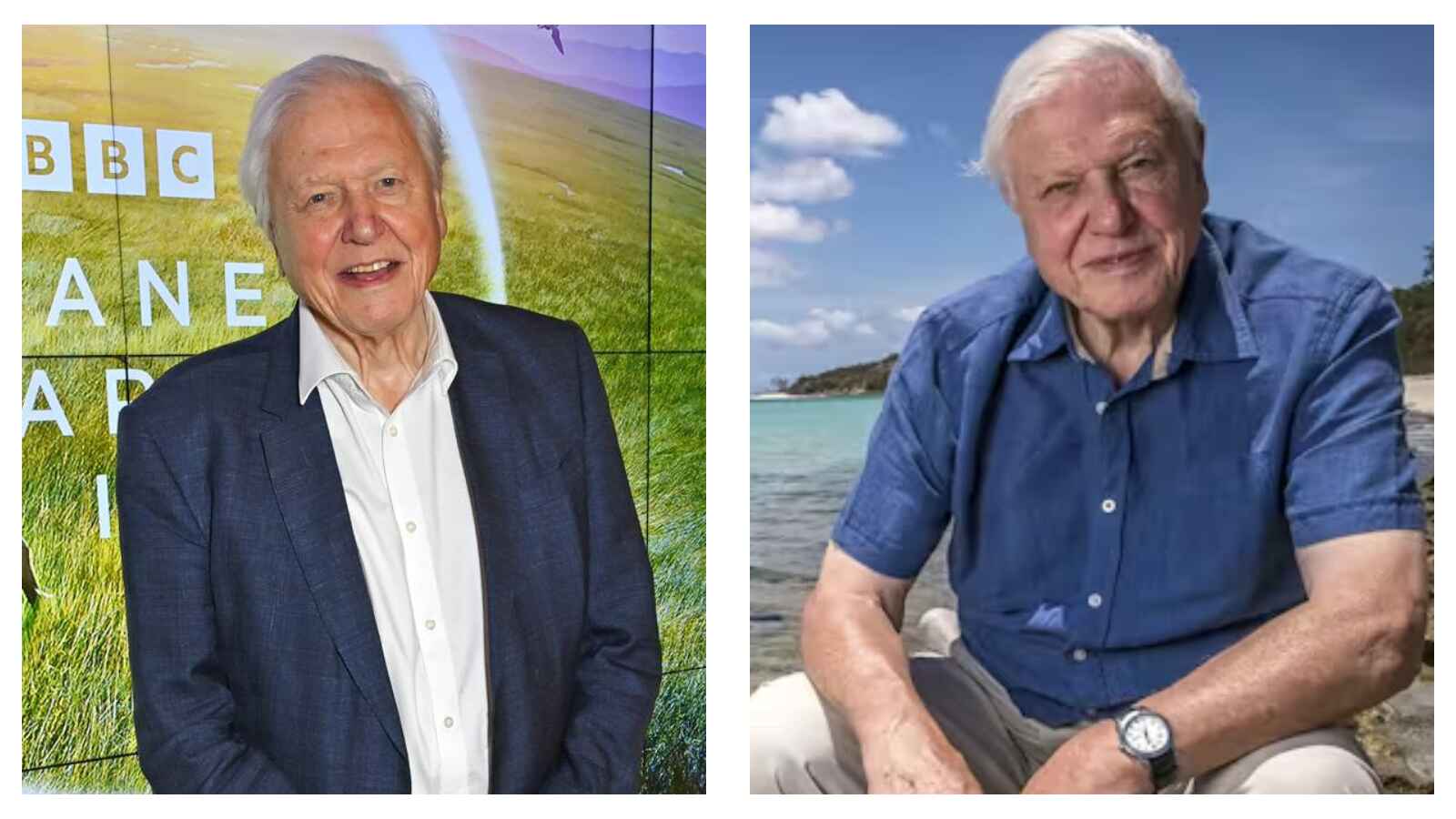 David Attenborough