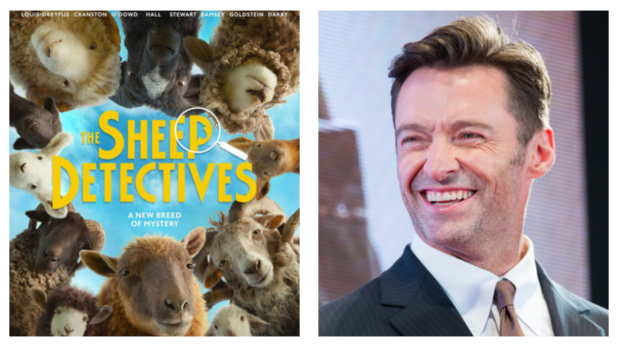 Sheep Detectives and Hugh Jackman