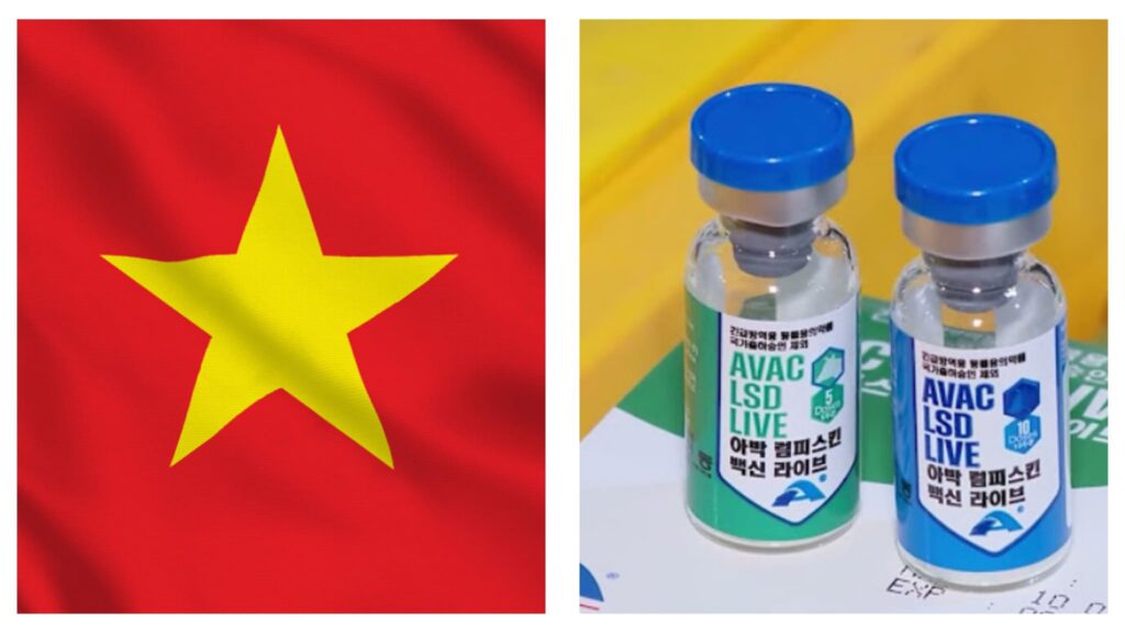 Vietnam LSD Vaccine