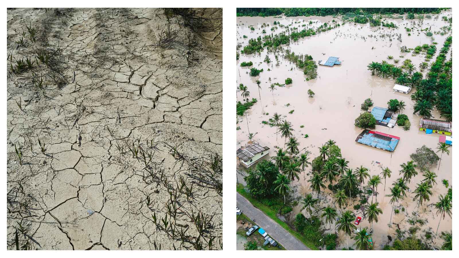 drought and flooding