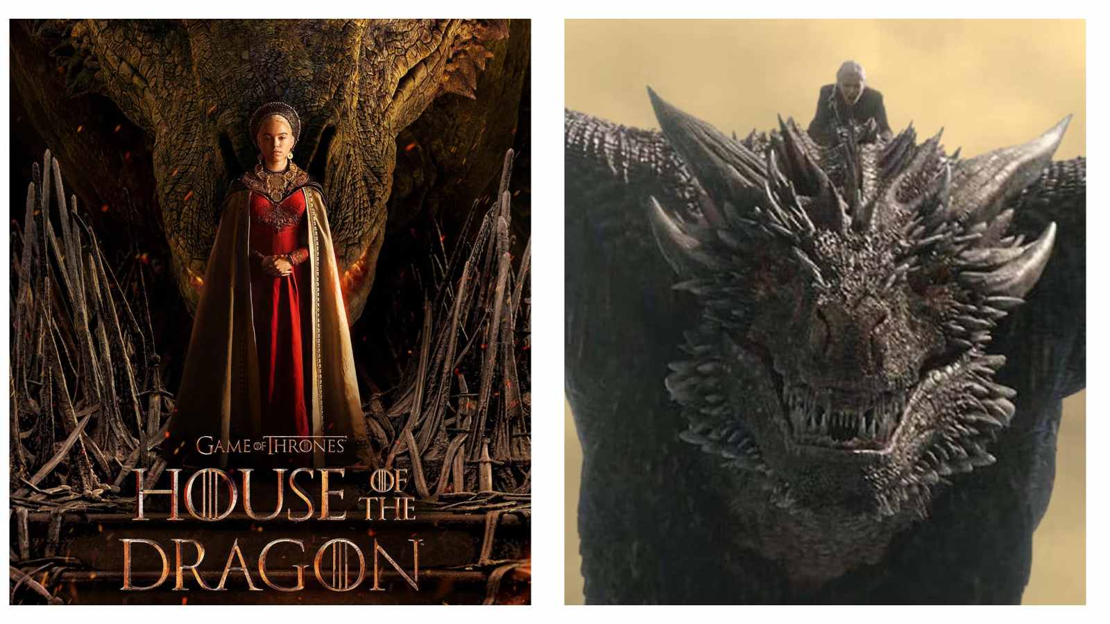 House of the Dragon