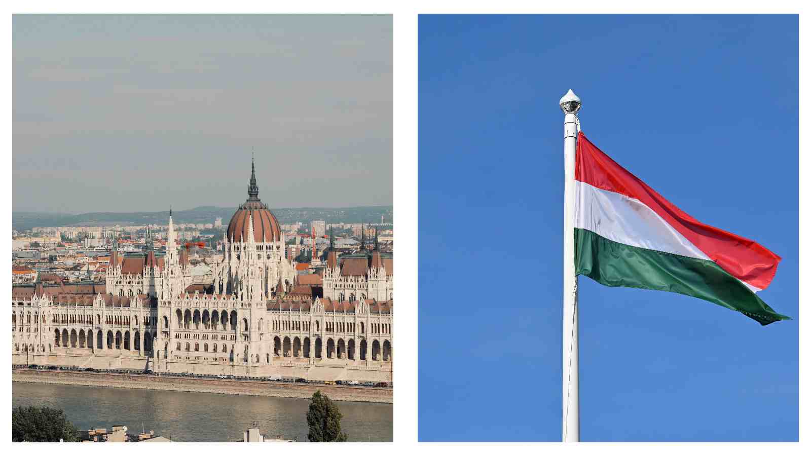 Hungarian Parliament and Flag