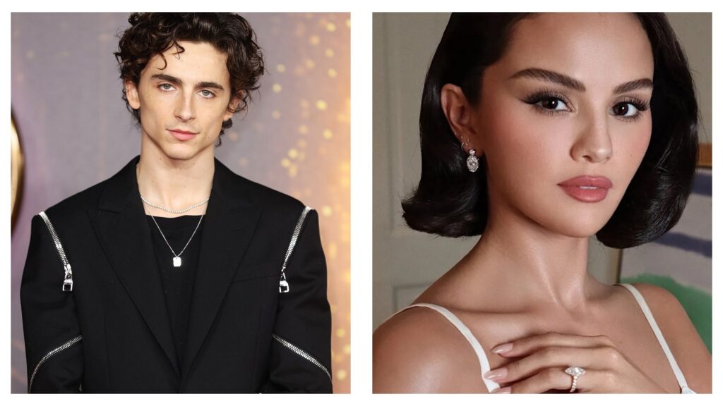 Timothée Chalamet, Selena Gomez to reunite in new animated film 'Not Alone'