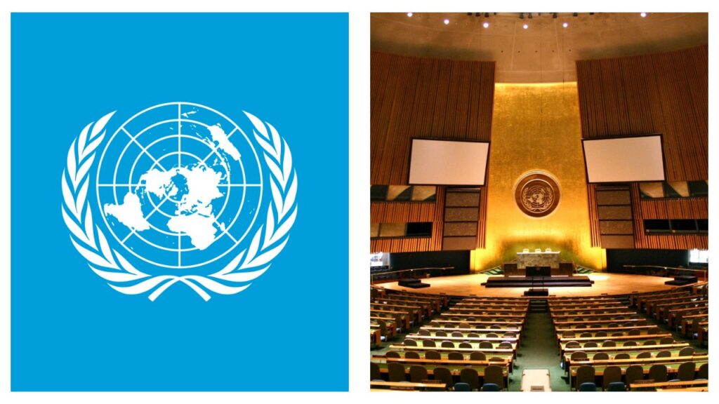 UN Security Council