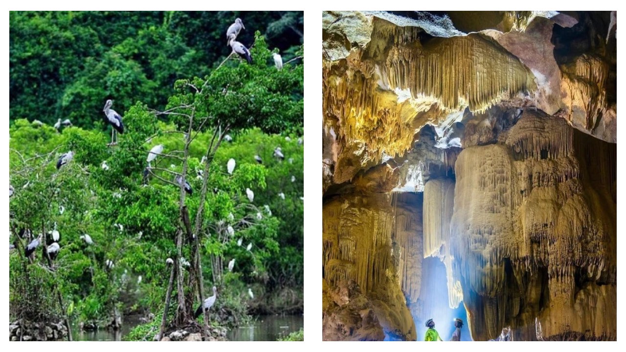 Vietnam new cave discovery