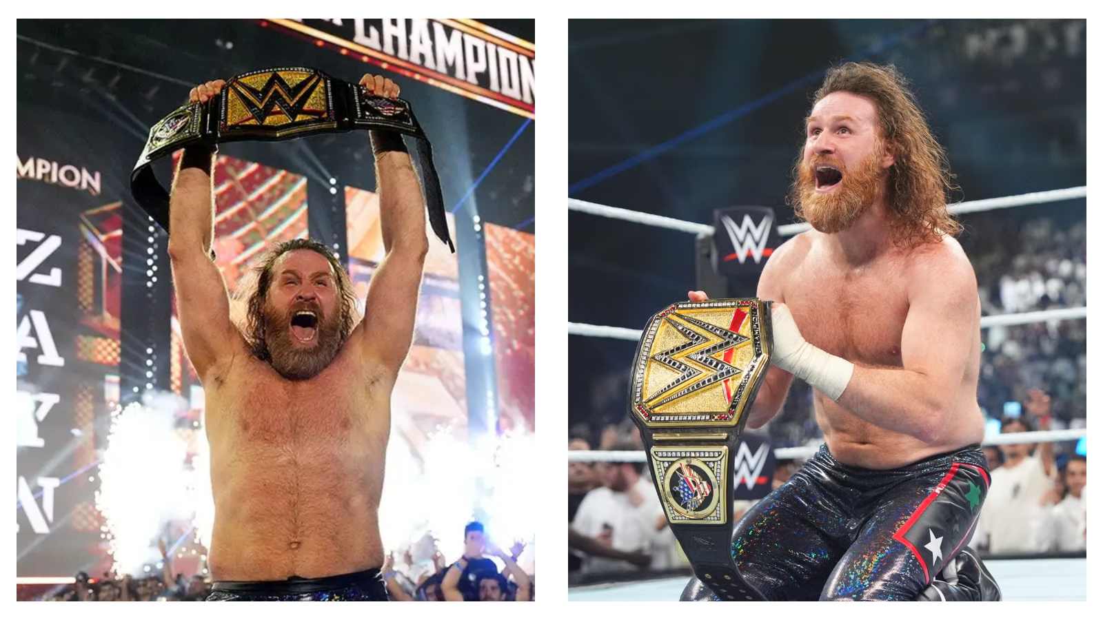 Sami Zayn