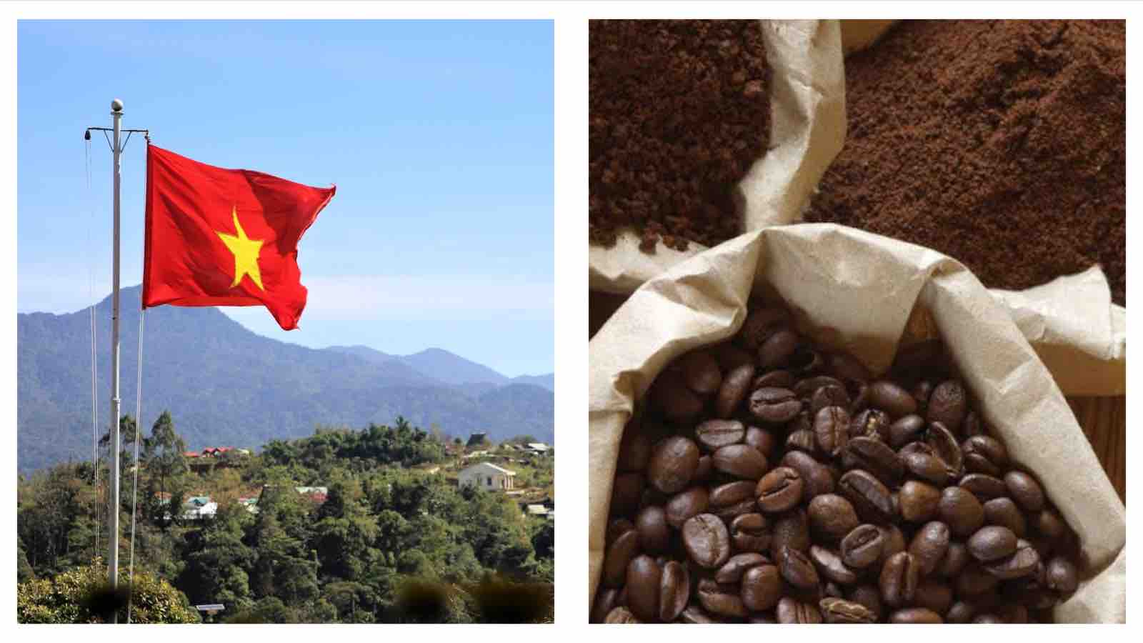 Vietnam coffee exports