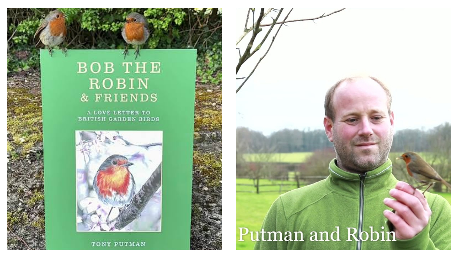 Bob the Robin & Friends by Tony Putman