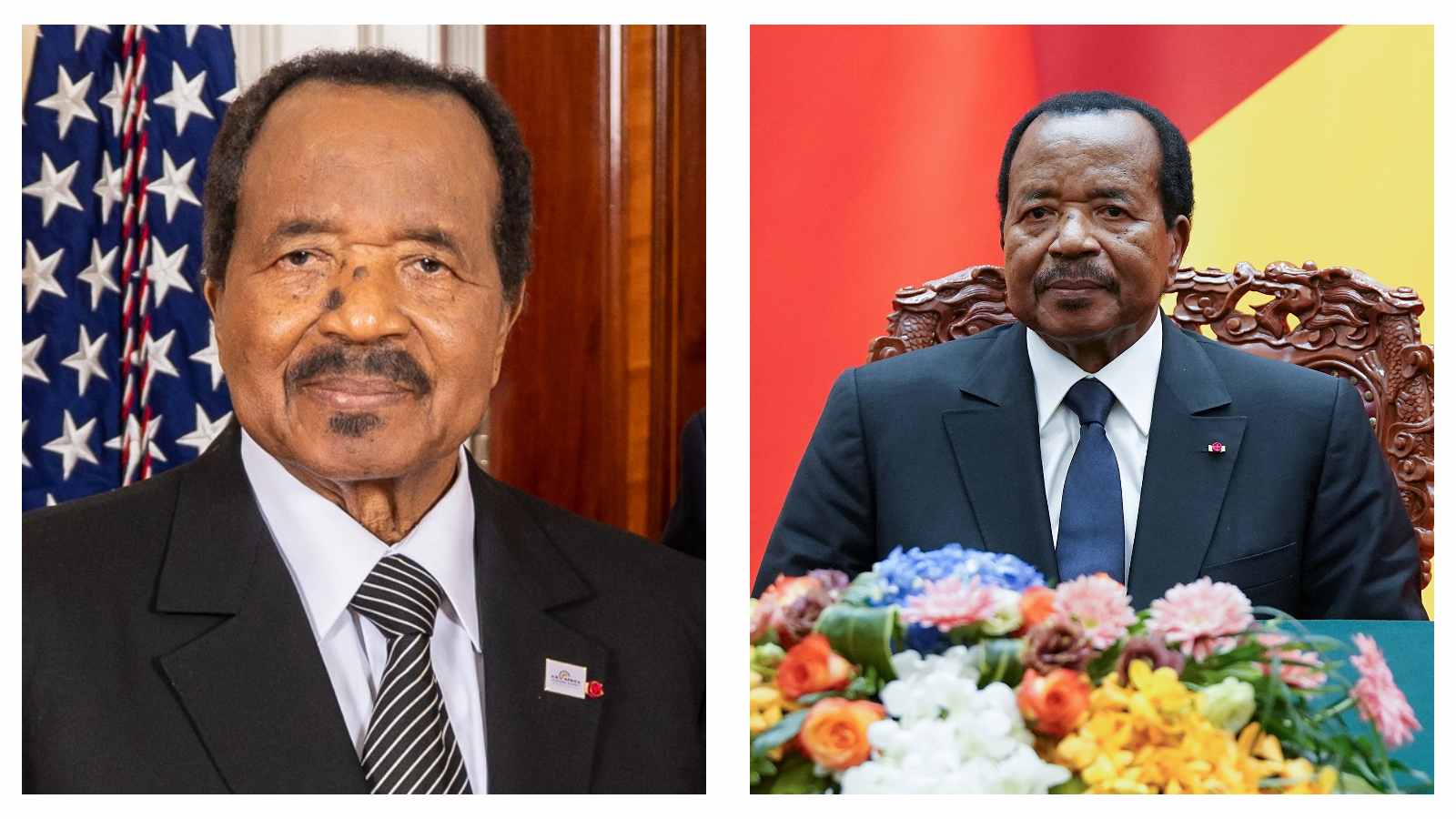 Cameroon President Paul Biya