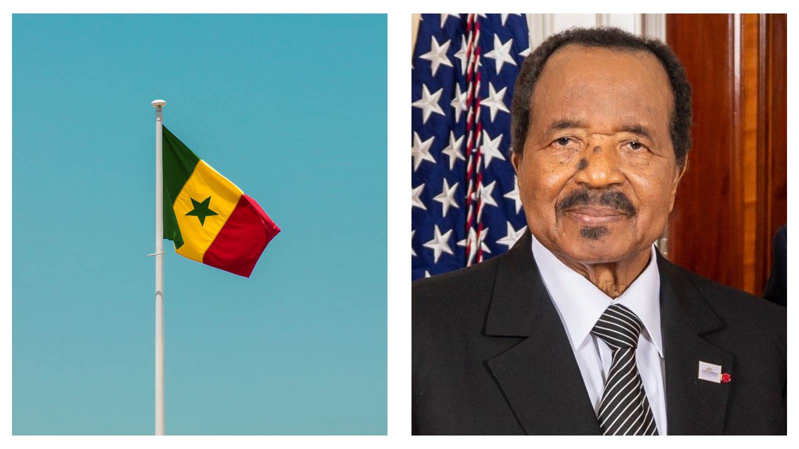 Cameroon flag and Paul Biya