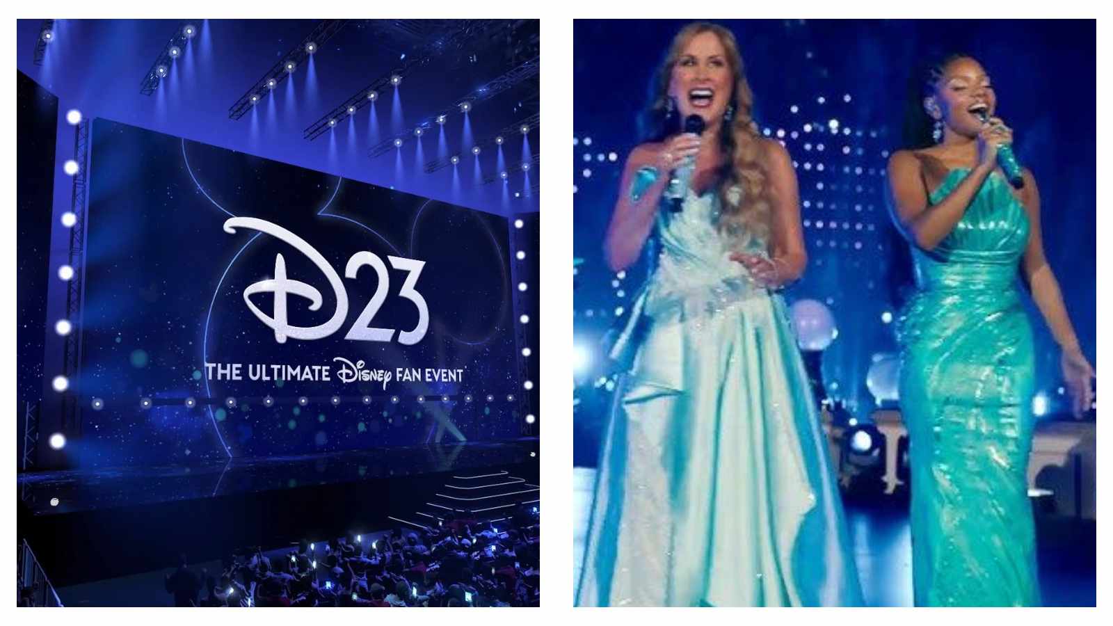 Disney D23 and Disney princesses