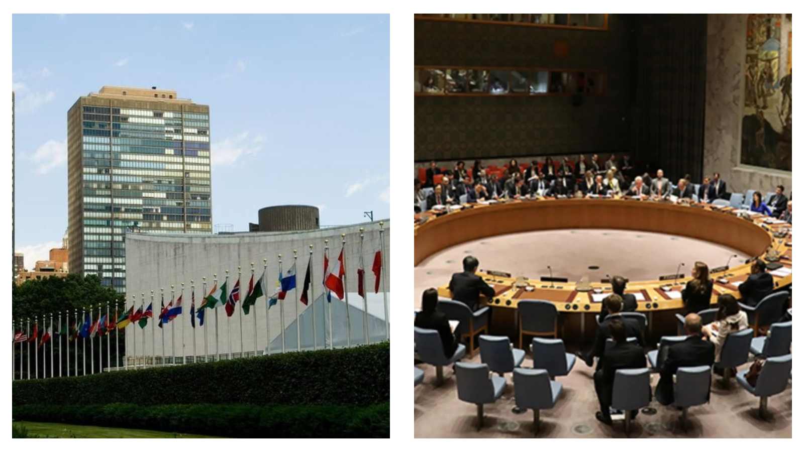 United Nations Security Council