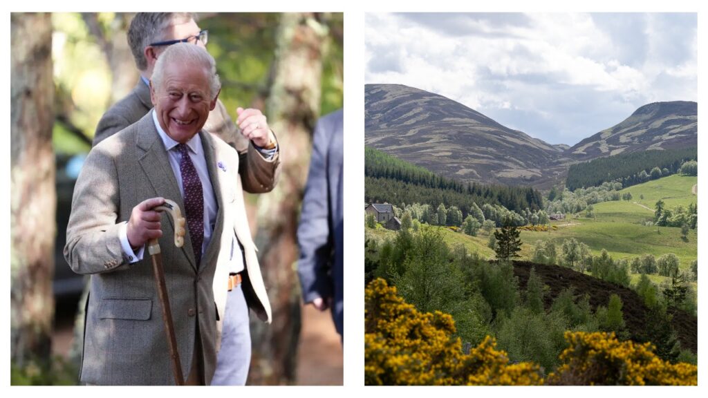 King Charles Cairngorms