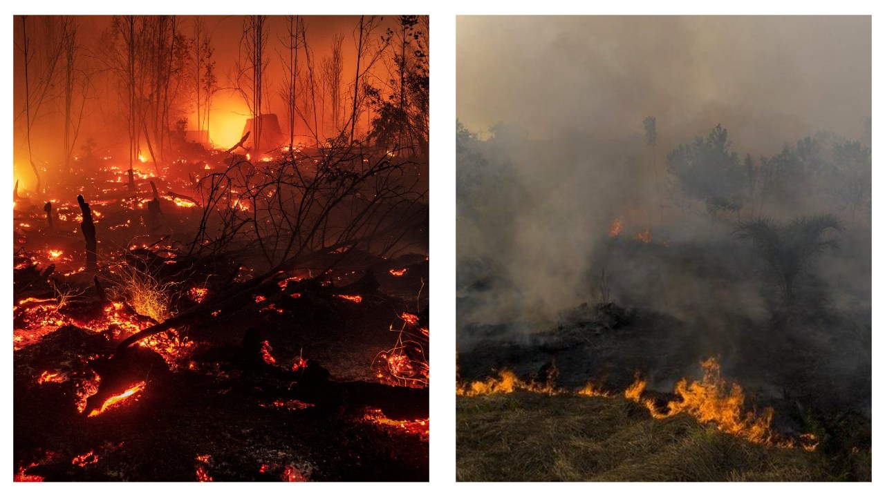 Smoke from Indonesia forest fire reaches Philippines Metro