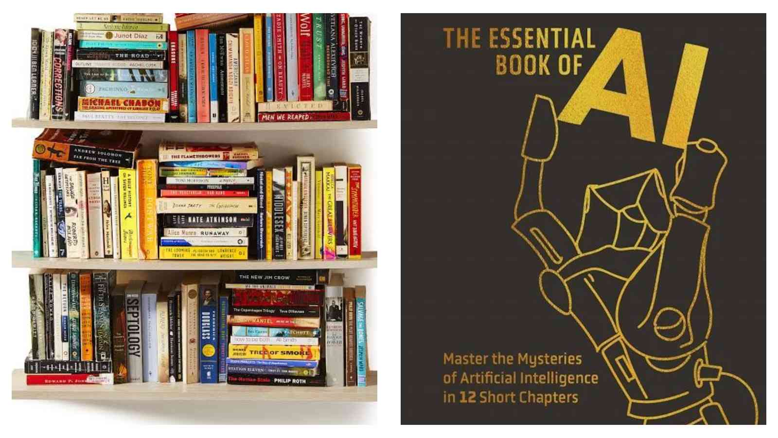 Books and AI