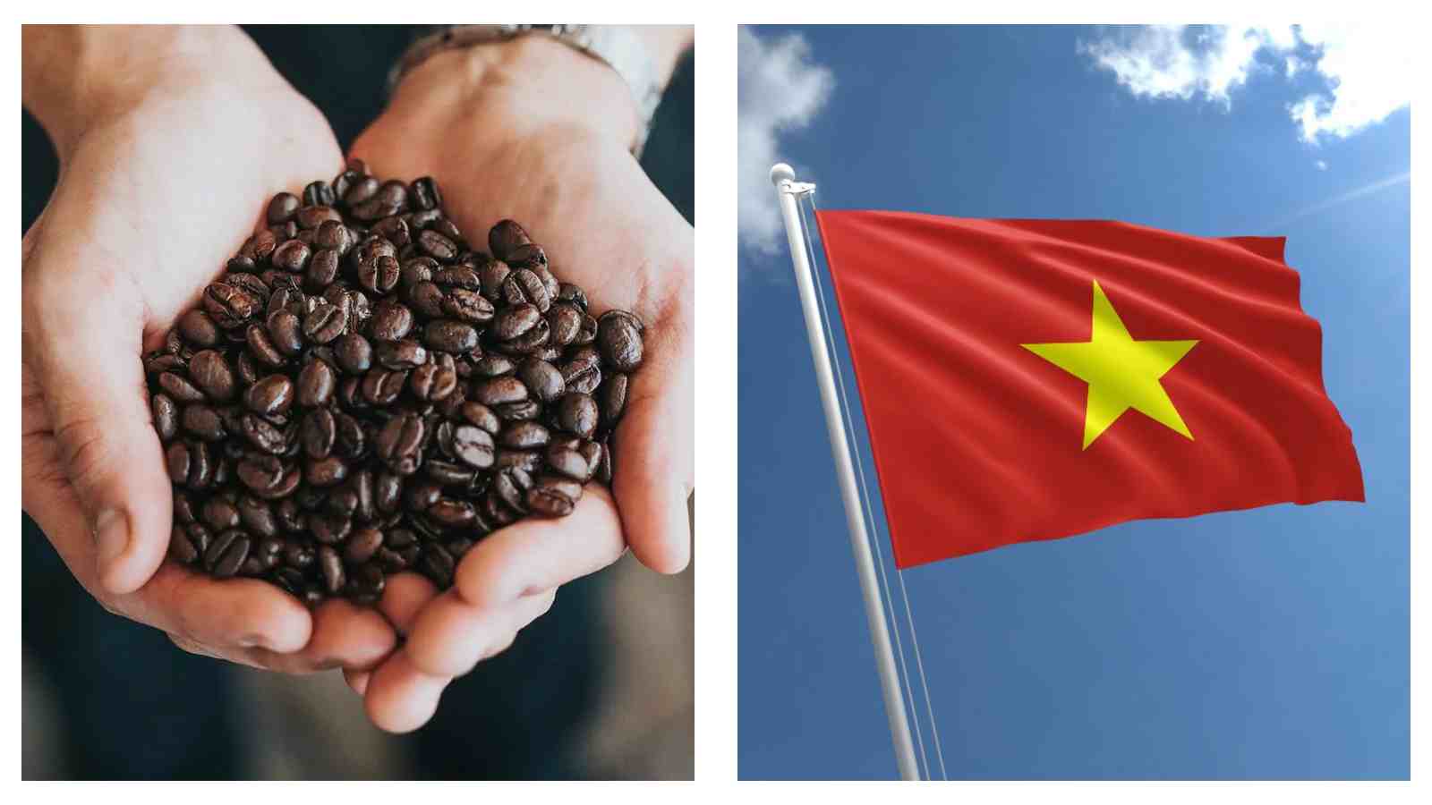 Coffee beans Vietnam flag