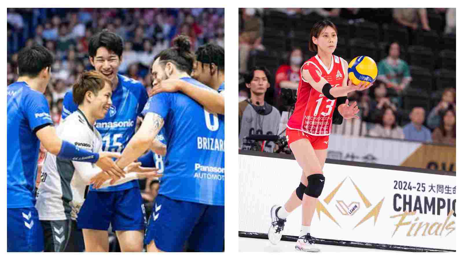 Japan's Daido Life SV.League to feature two new volleyball teams