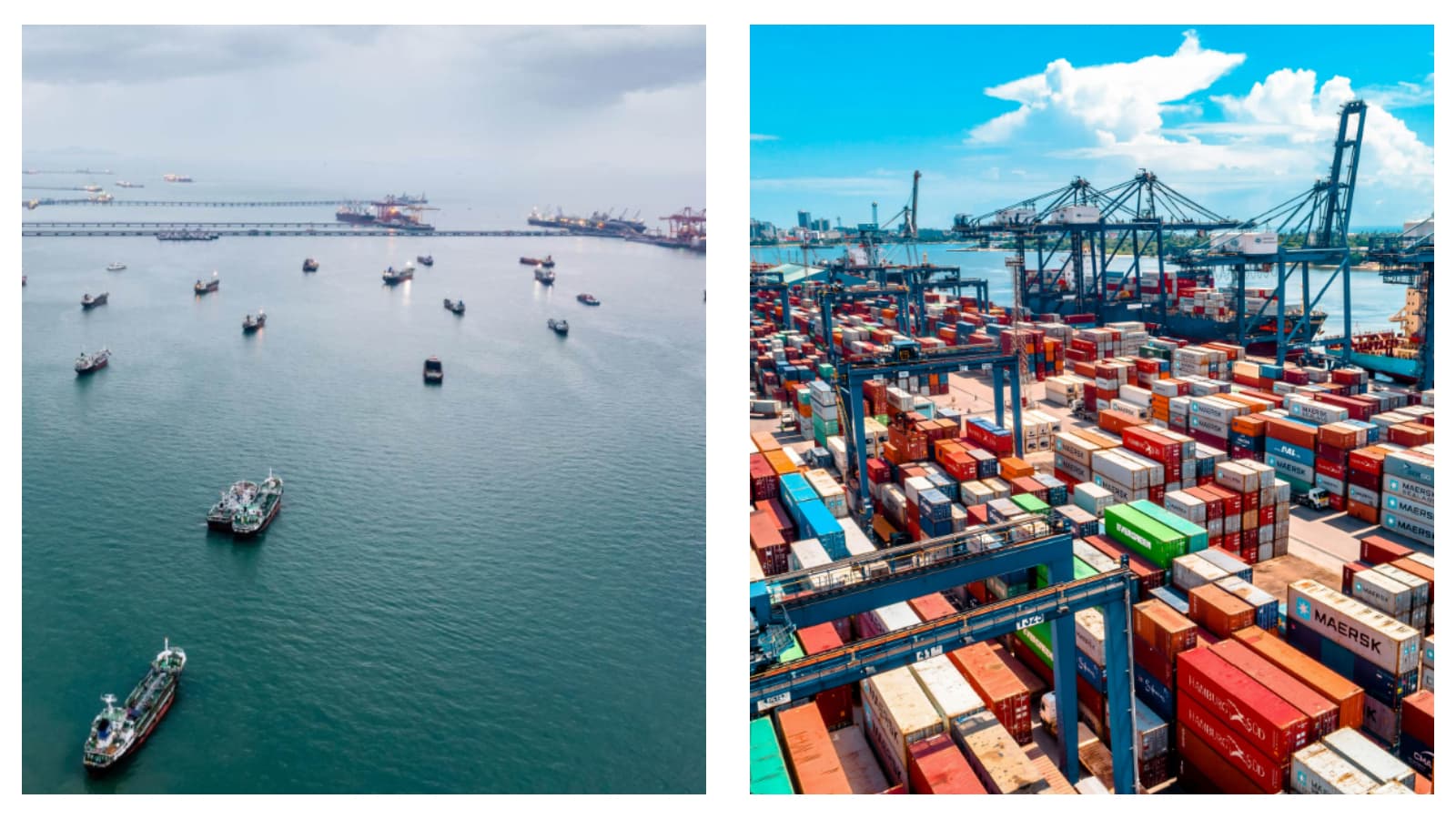 Months-long process needed to decongest global ports, report says