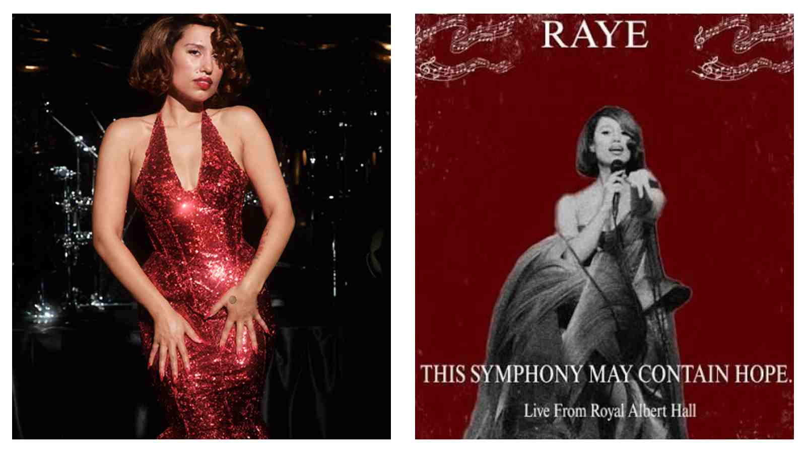 Raye This Symphony May Contain Hope