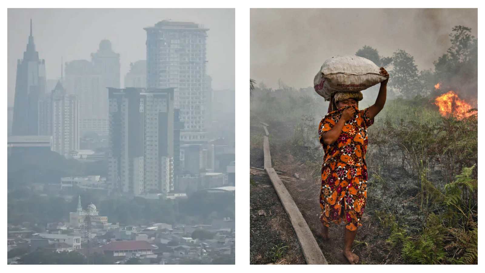 Southeast Asia haze crisis