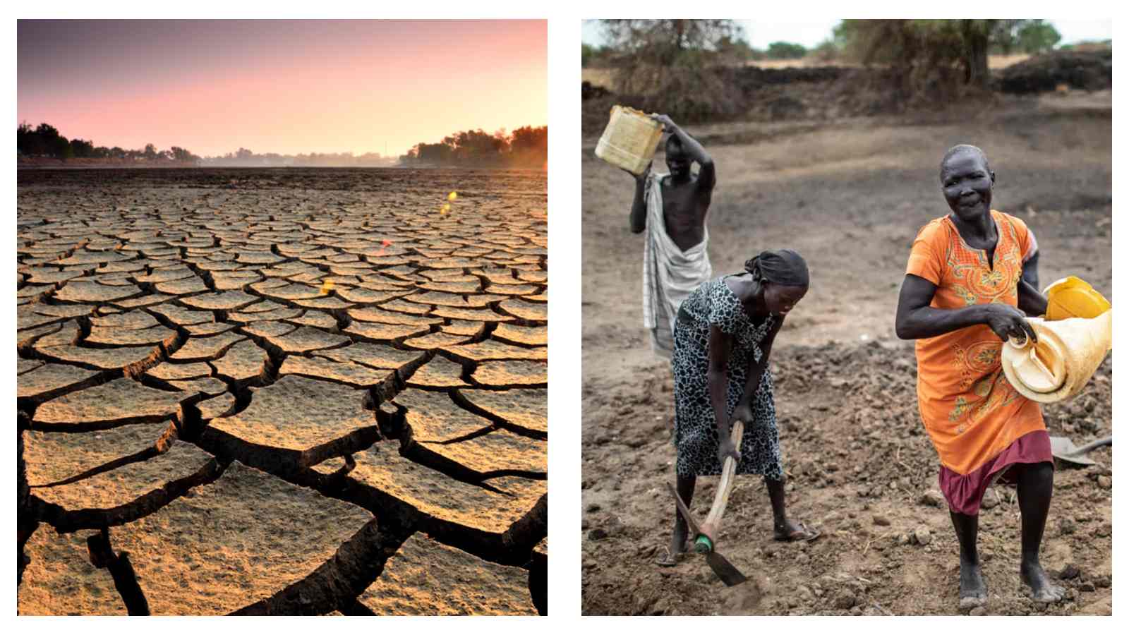 Sudan drought
