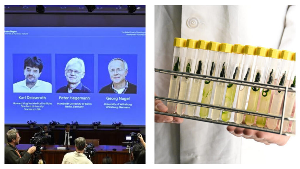 Three scientists win Nobel Prize for helping researchers control brain cells with light