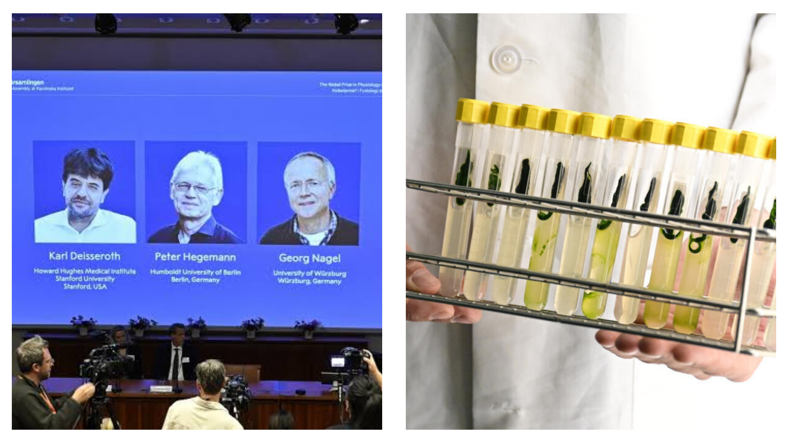 Three scientists win Nobel Prize for helping researchers control brain cells with light