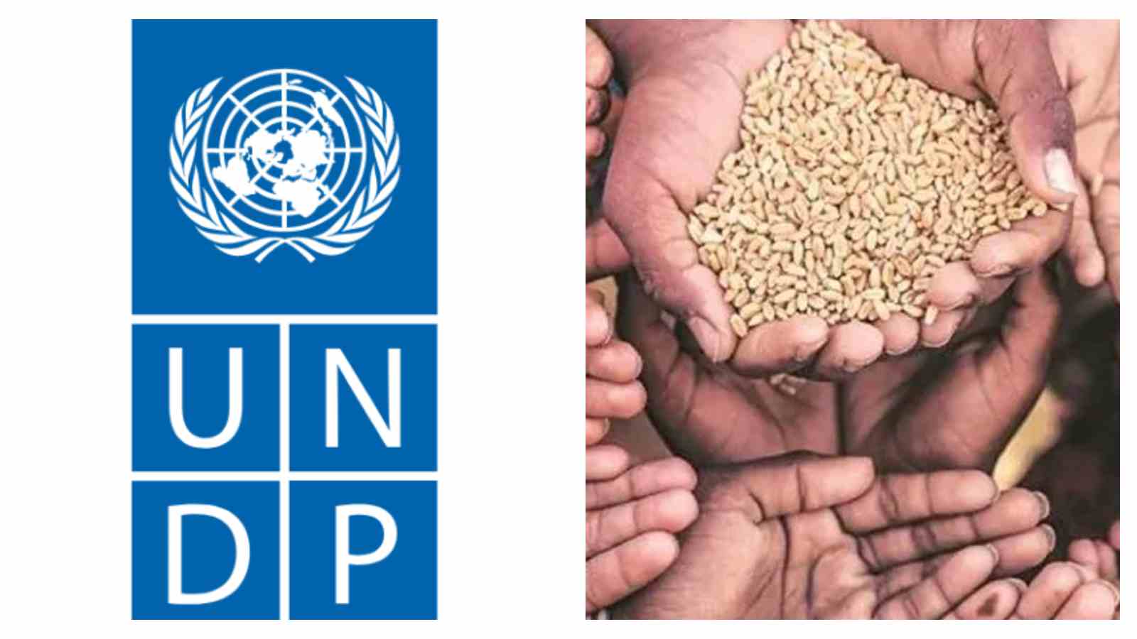 UNDP global poverty