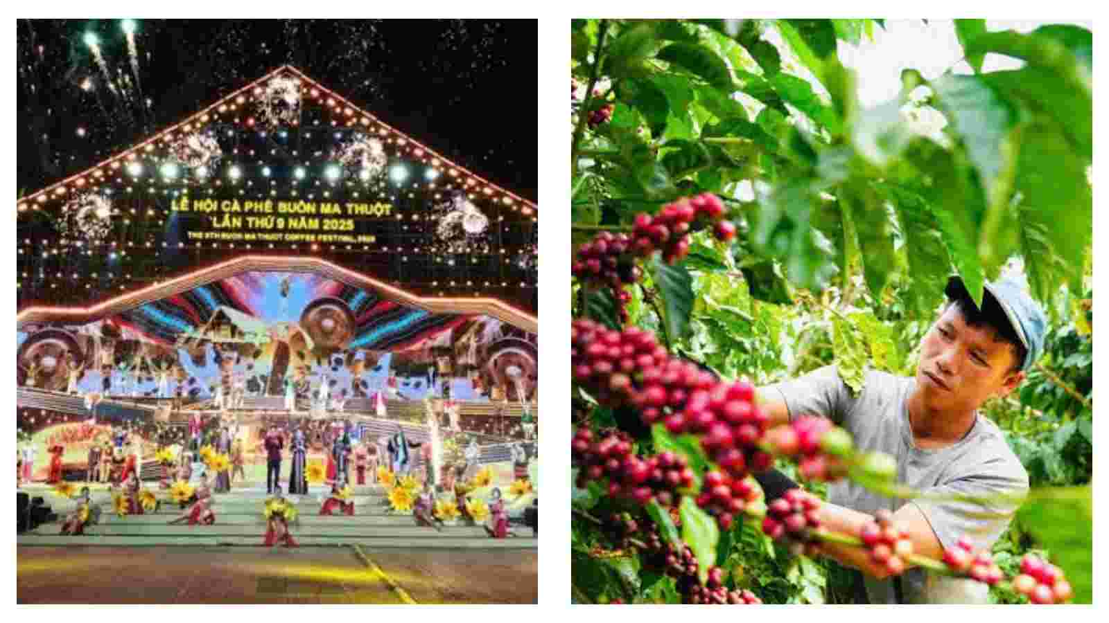 Vietnam's largest coffee festival set for March 2027