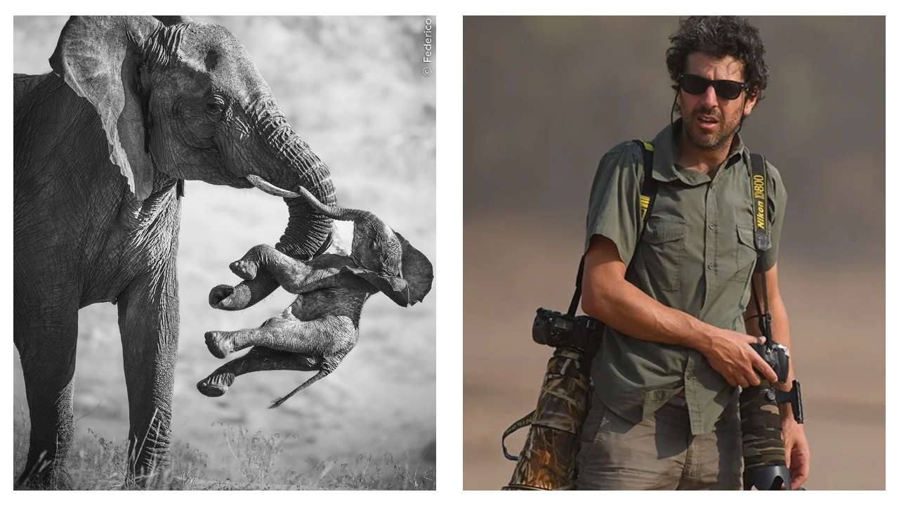 Wildlife Photographer of the Year 2026